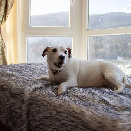 Th Cadore - Antelao 4*