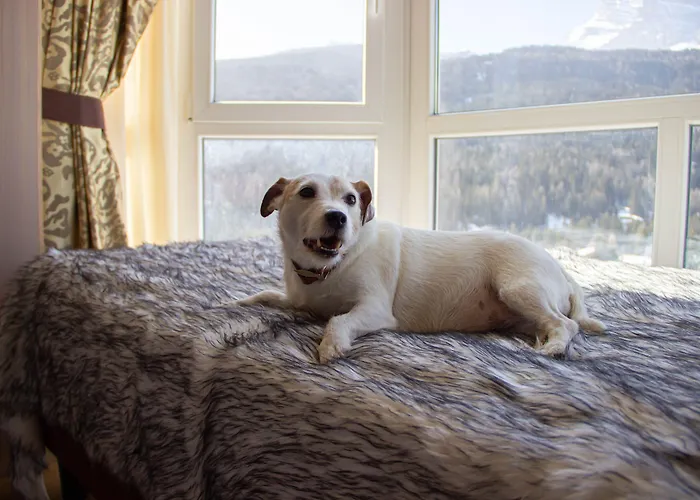 Th Cadore - Antelao 4*