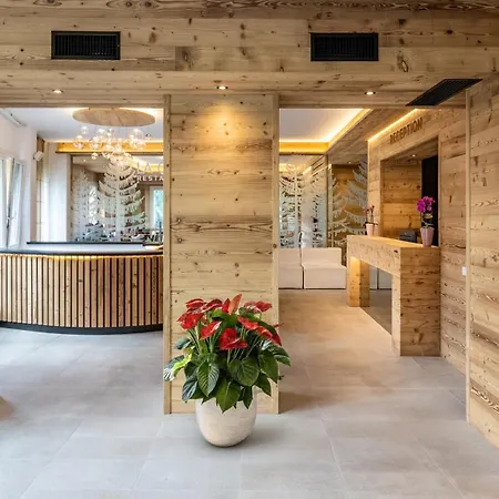 Th Cadore - Antelao 4*